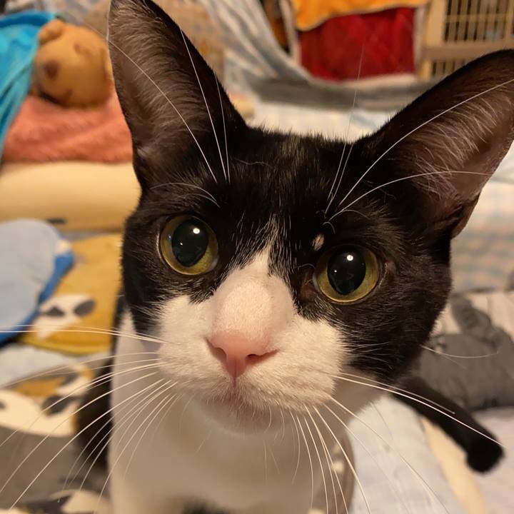 1e36d911 789c 4f40 aca4 535d467df002 1697353395739