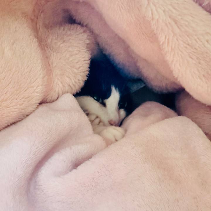 1e36d9d4 0bf5 4a81 bfd0 7b3c77f799f3 1679534142875