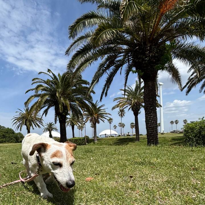 1e36e43e ecec 4249 8589 e0deaccce6ec 1776933897418