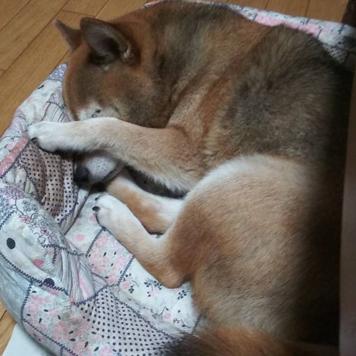 1e37316f e1f4 4d82 aa6c 59fa4080b156 1625313977078