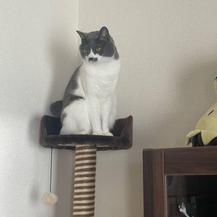 1e378d42 5b9d 4a51 8b0a de6740f63d8f 1673507061653