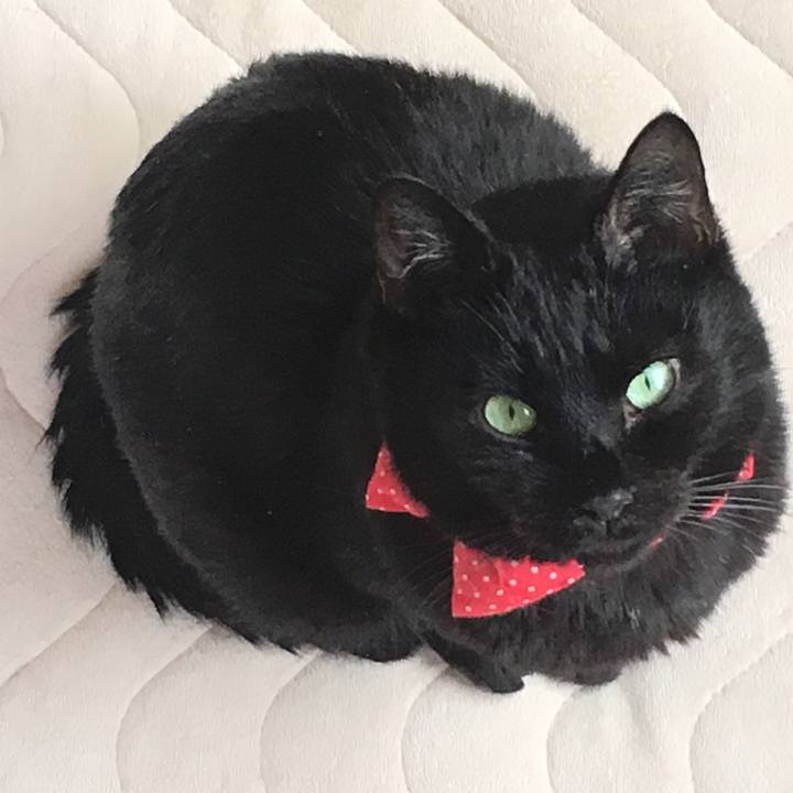 1e37941a b65c 4d5d 99a4 8e44e4752614 1547868655133