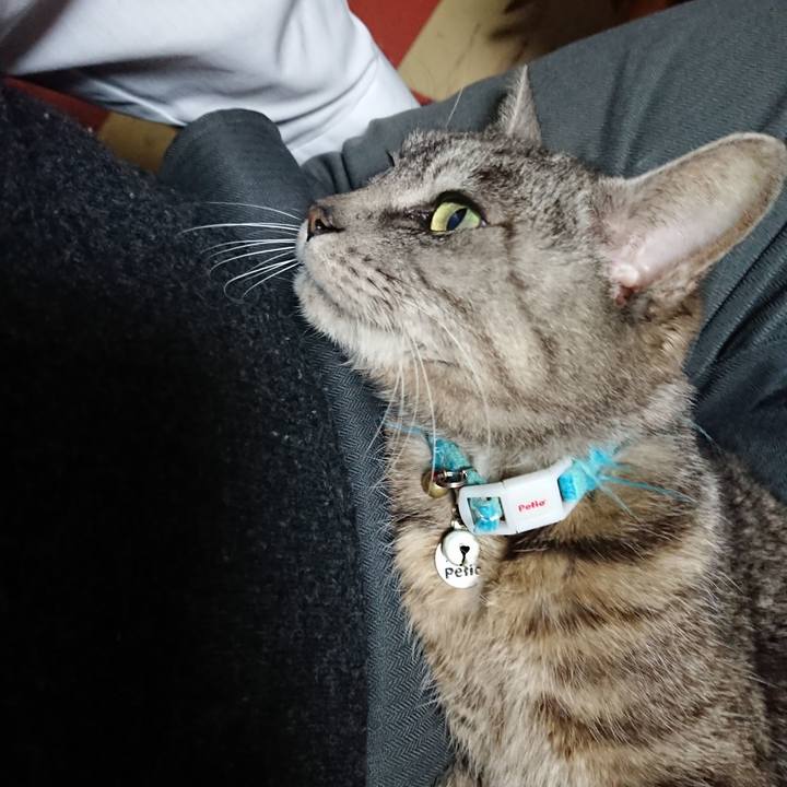 1e37a3e8 eddc 453e 9947 5cdae9c15630 1553591527356