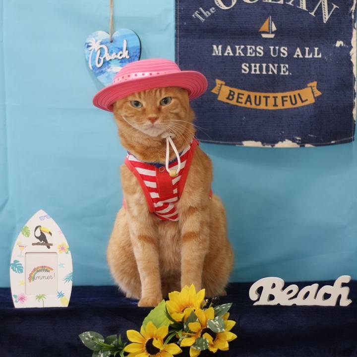 1e37bf9e 0450 4fcd a430 9ca77e8fcc2c 1627744154047