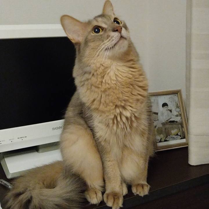 1e37c656 4f13 4b7d 845b b44b12d9a8ac 1626863311233