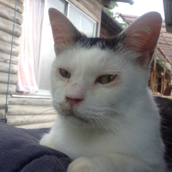 1e37cc8d 3057 4929 9600 464859eb87c4 1562477203128