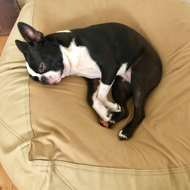 1e381170 396a 44d7 9984 d11ae8fe8678 1563537899312