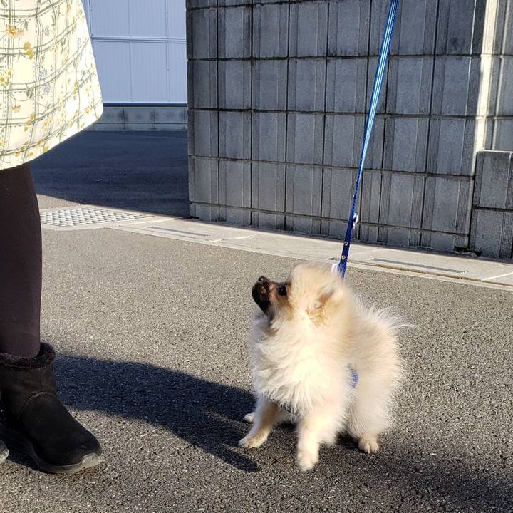 1e381cff 3001 4553 981b 15ea98d34281 1613133775345