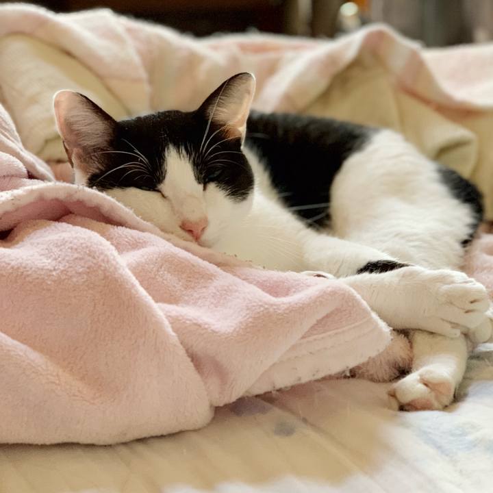 1e383e54 1d84 4c73 bd22 0f47a9c4bebf 1540961688478