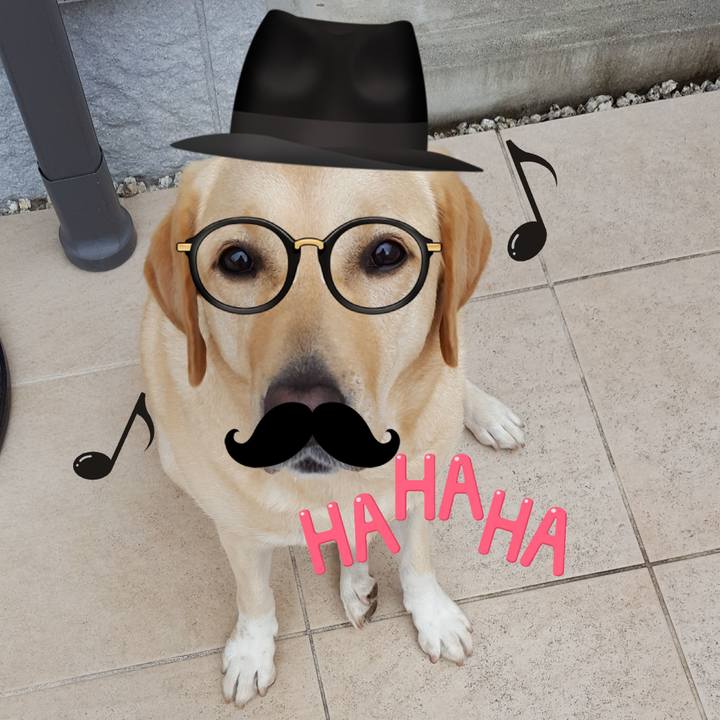 1e38719d 7756 457c bf81 e66a5cd07f3b 1509425063947