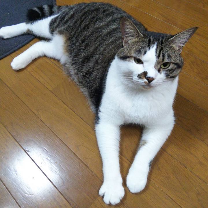 1e388115 ffb0 4a2c ac9e 28a67a952f75 1662604120482