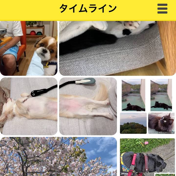 1e3893d5 9075 4128 b976 05838ecc3c68 1713396117813