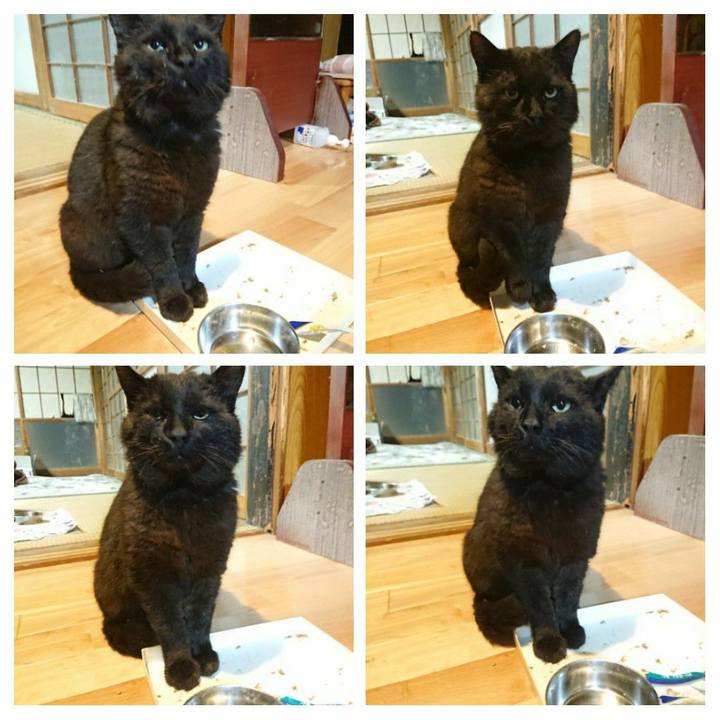 1e38ac47 f8a4 43e6 940b d793f98ca250 1620213357839