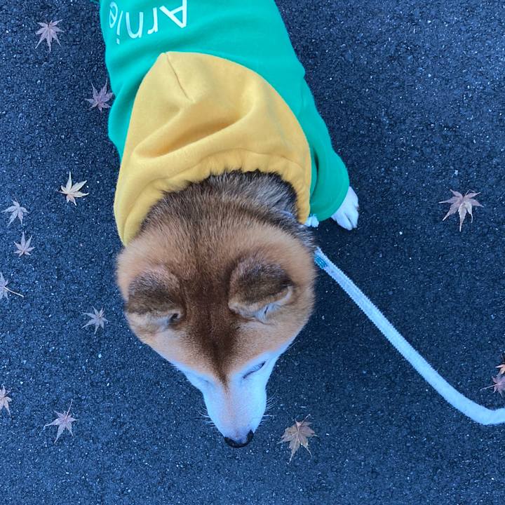 1e38c92d a8f2 4117 a819 665066ddaccd 1736236534269