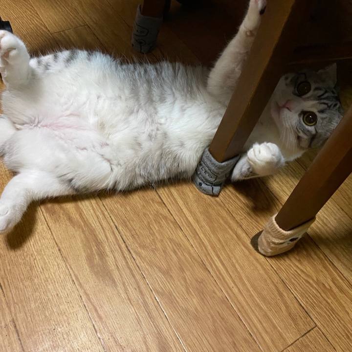 1e38ffbd 16d8 4516 93a6 59d304b96dcc 1621642404164