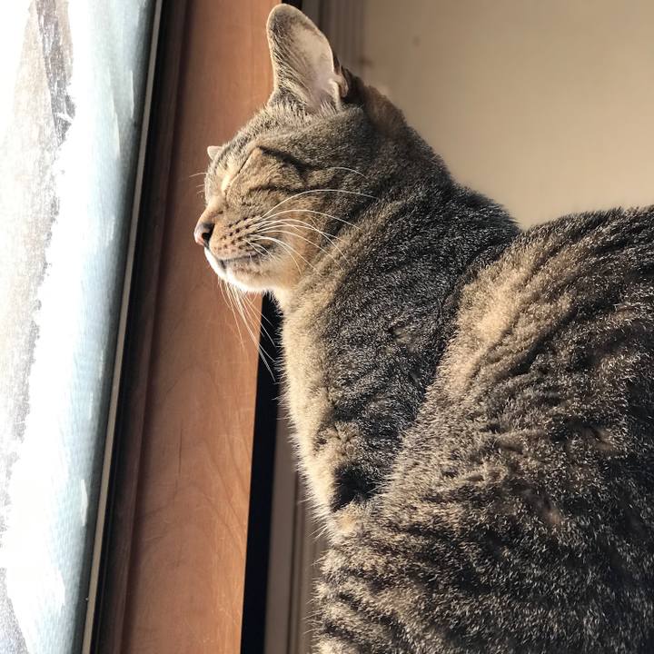 1e392aab b828 4200 b983 ea5c8d0c3017 1527557232503