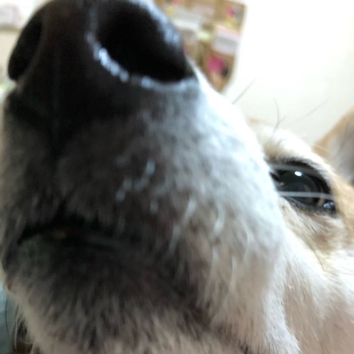 1e39492b a8df 4d0d ac08 875df8541d1e 1585028451631