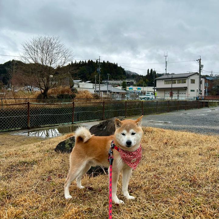 1e395334 b11c 4037 96bb 05b5e75e138d 1709713151973