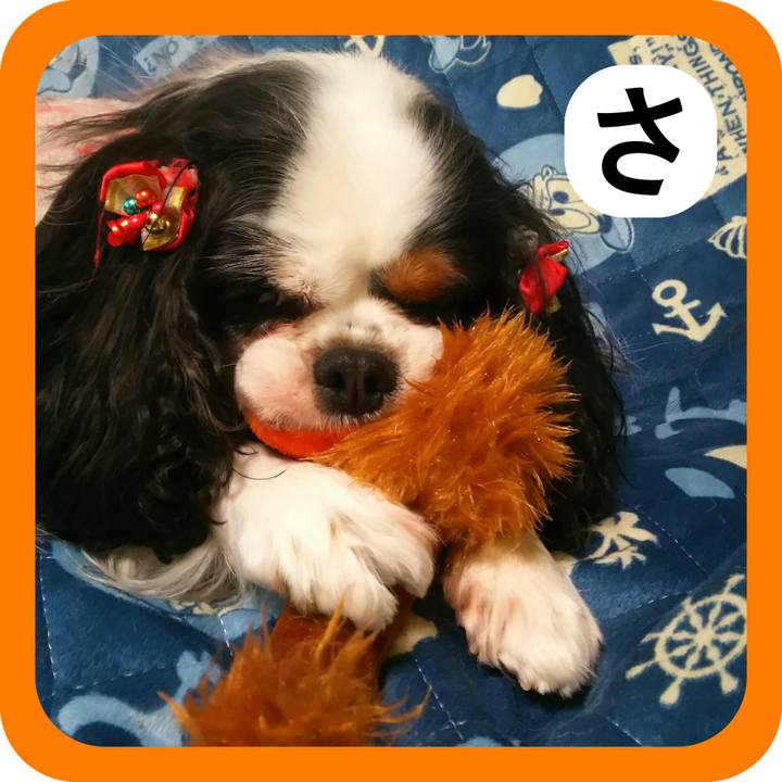 1e397670 9602 4124 b706 7bf5d51c37d8 1514938991947