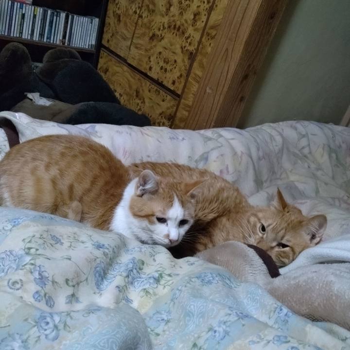 1e398ae6 2891 4e9b bcef 96e4d1889da1 1740270484113