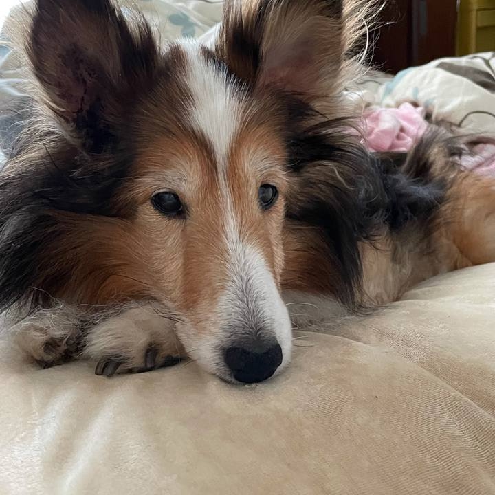 1e39d8b1 00cf 44de 9d85 4aefbf8cedd3 1620898667453