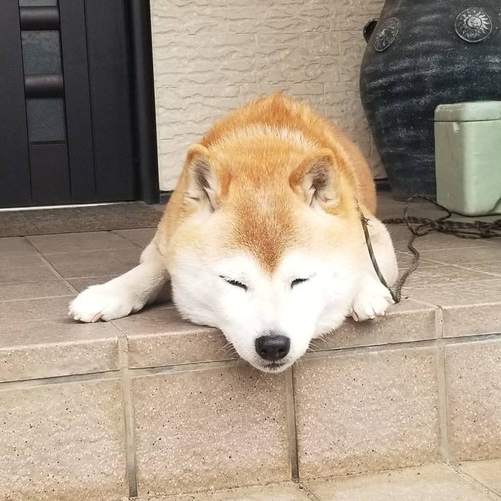 1e3a06d1 3e90 48f8 ac1b 434459342cad 1680824255129