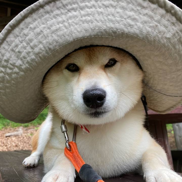 1e3a3261 ae6d 42b0 81c6 4334d87b8e3d 1722139737815