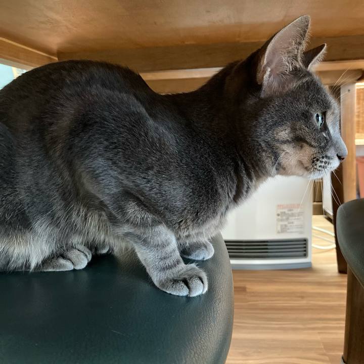 1e3a5eaf 9176 4704 bf9c e05af825a849 1636844426938