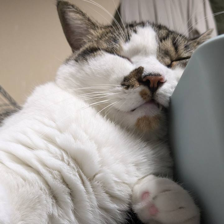 1e3a7763 38fc 46b0 9582 597a17df84b3 1723890502861