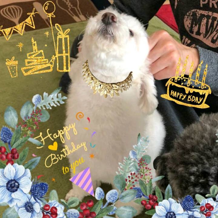 1e3a81bf 13f8 4118 8d12 dc09fd03c35f 1542362706577