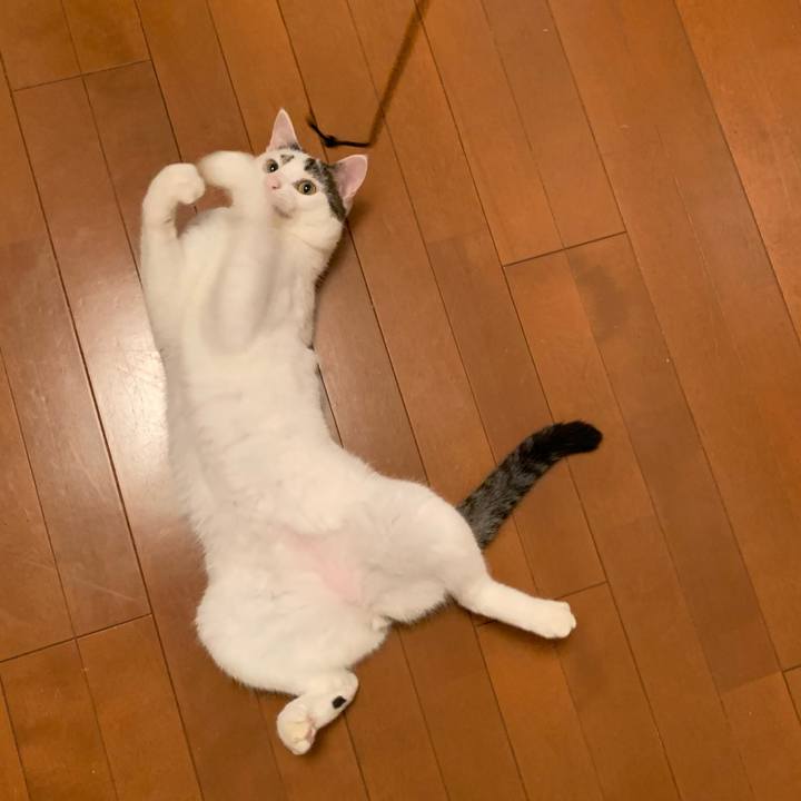 1e3a8ccb e449 4e4c 85a0 e0ed61ab6037 1627974143166