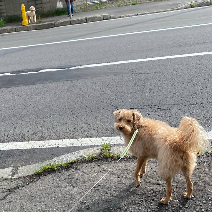 1e3ab1f6 34c4 4891 a02f 8ef004726219 1621463117949