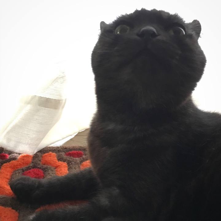 1e3ac021 7105 44b2 af63 c8dee3734f7d 1562649321408