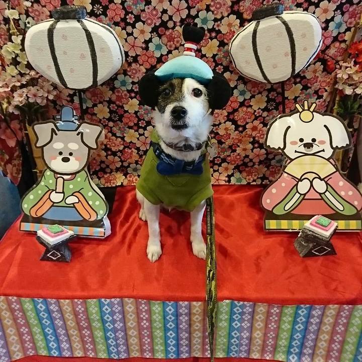 1e3b0519 0ddb 4adc 8afd 01a180c18818 1520027487614