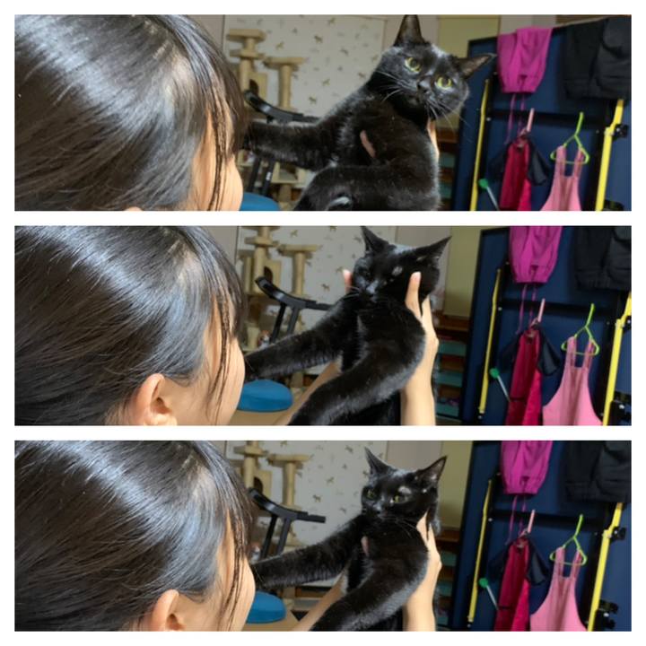 1e3b3017 0ea2 4362 983e eeb6301f959c 1628168453743