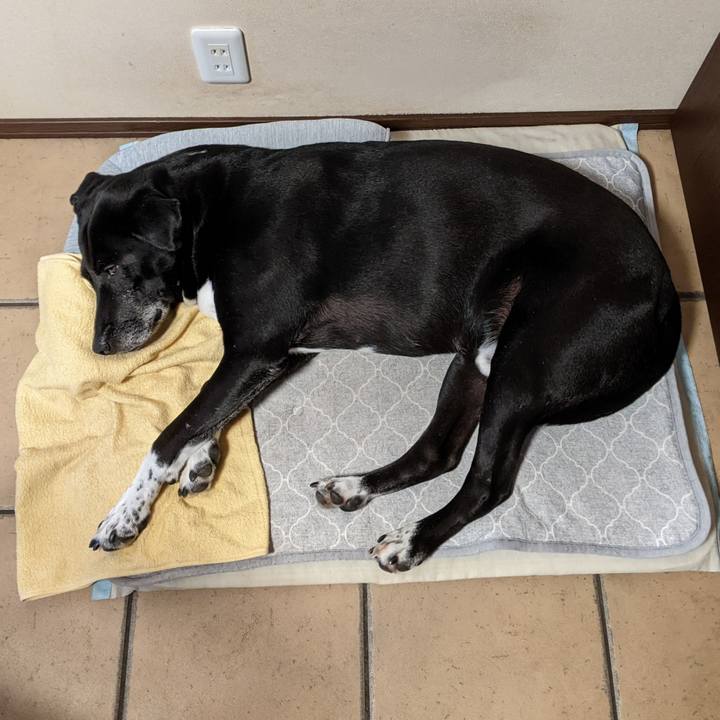 1e3b3c5f 9e33 4bb6 bbd3 0d926d5076a0 1694305541976