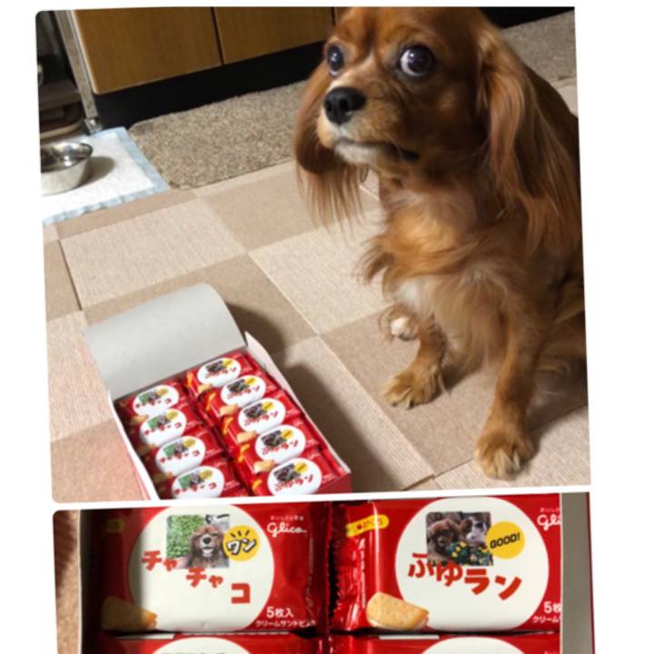 1e3b581f cf6f 4089 9d2c 5c3a313d5698 1541923152365