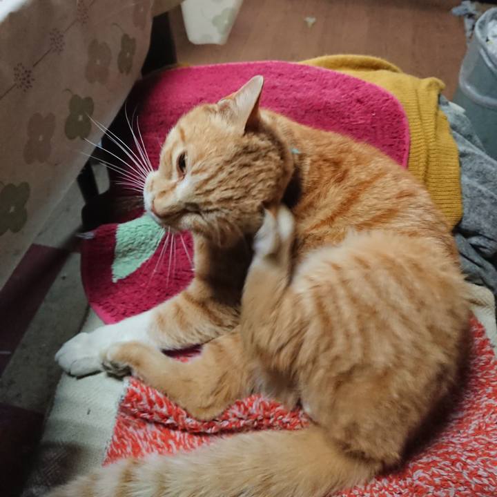 1e3b625f afcd 4f20 b9b0 649113699914 1557435622921