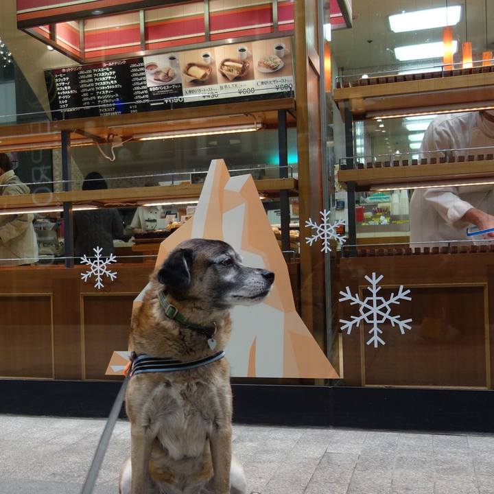 1e3b87a8 f229 433e 8605 58cdfc4093ce 1549190990978