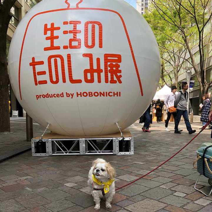 1e3bc211 58a2 4b75 ba06 ed3a3d603388 1555736495837