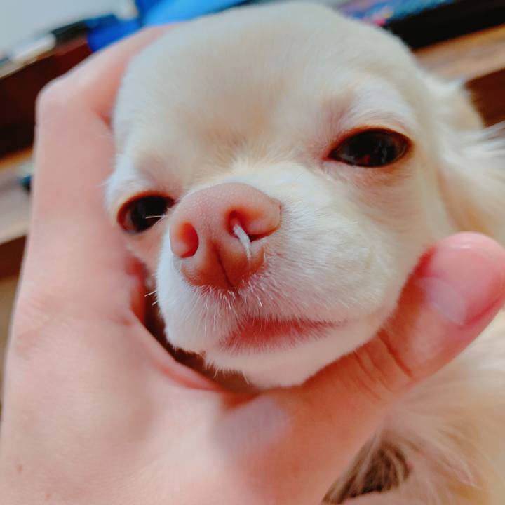 1e3bc5ea 168b 428e 8a67 cdb726783b3d 1638587198905