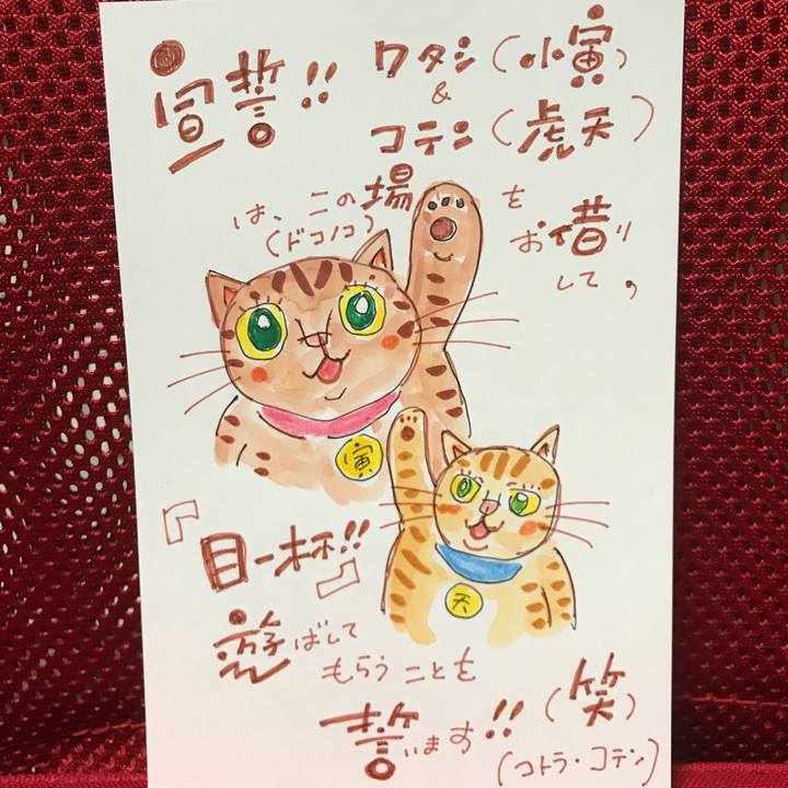 1e3c03de eb96 44fa 931b 5fa7dd370439 1541539348033