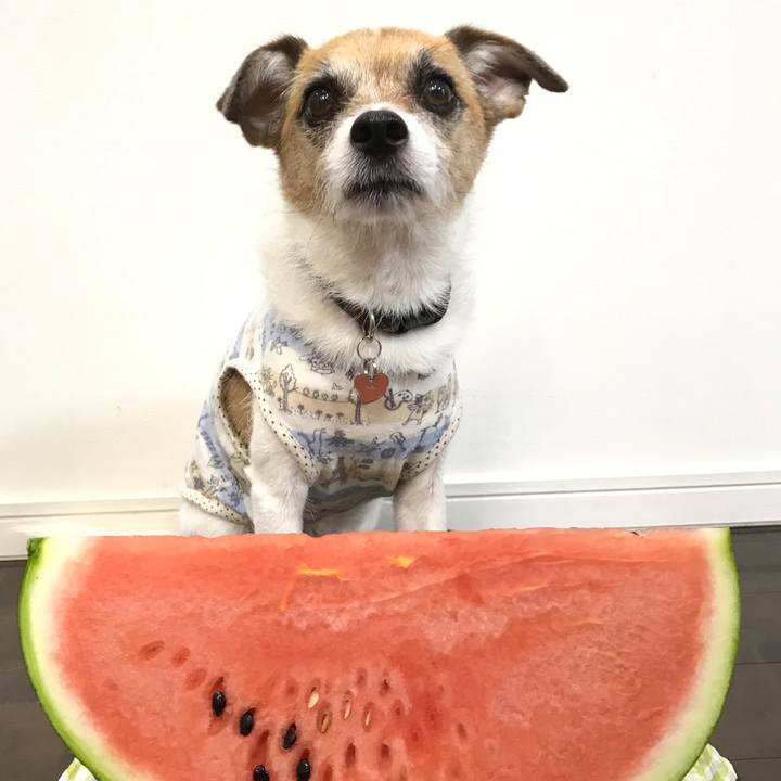 1e3c2984 4fdc 4459 83b1 b230b0ef0193 1565146972243