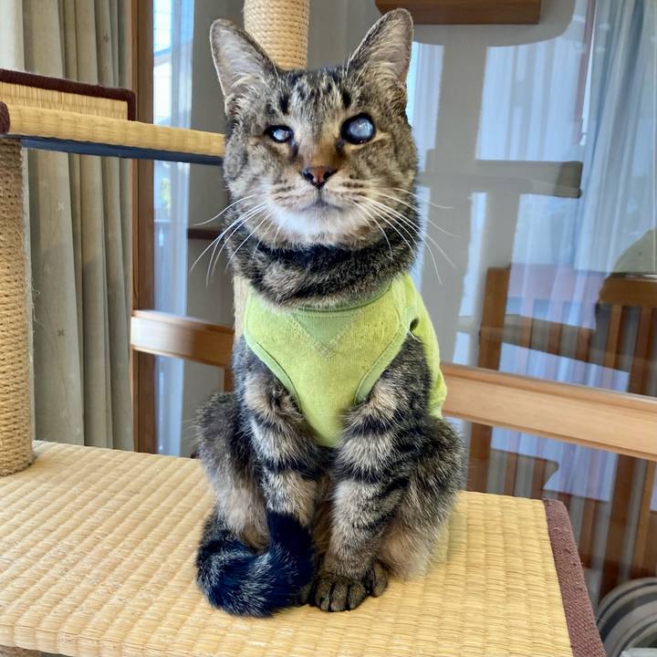 1e3c6740 3b86 4bc2 bdf2 b0b3368cc368 1682373695868