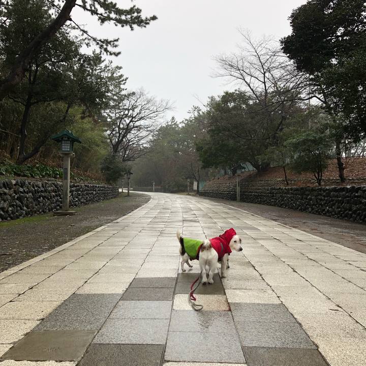 1e3c7429 b6ff 4116 9534 637d0514adc1 1551917589531