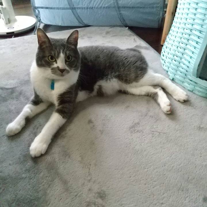 1e3c83bf 01e7 4cfe 8129 1cb7e0dff792 1650107217890