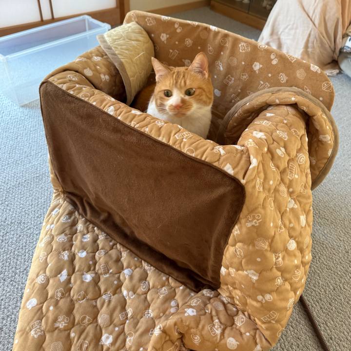 1e3c850e 0086 43f4 86b5 bf9a3527f916 1768529986167