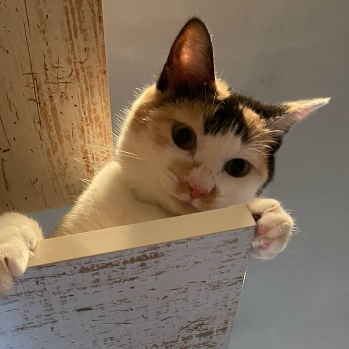 1e3c9800 715e 4e07 b9e3 9cacf39d287d 1689248038572