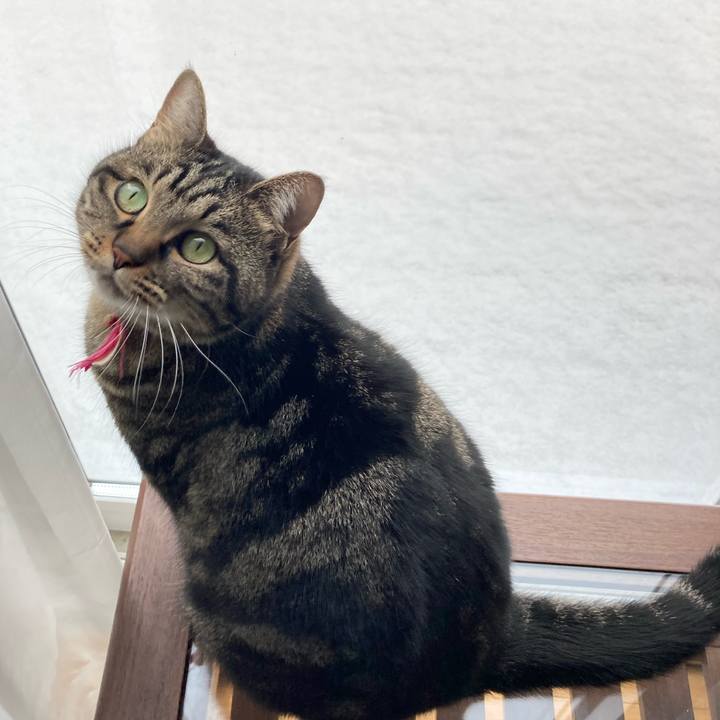 1e3cdf5d e9d3 42e0 baff 72eea57ea2b0 1609473675383