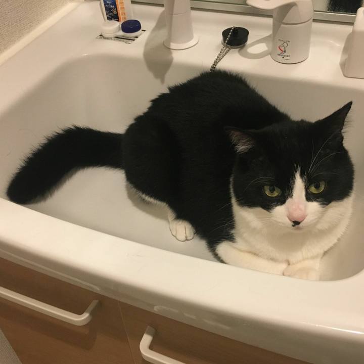 1e3d2f7f 1973 42fc 8074 78b9f03ee2a4 1554981678394